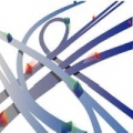 CleverView for IP Service Performance